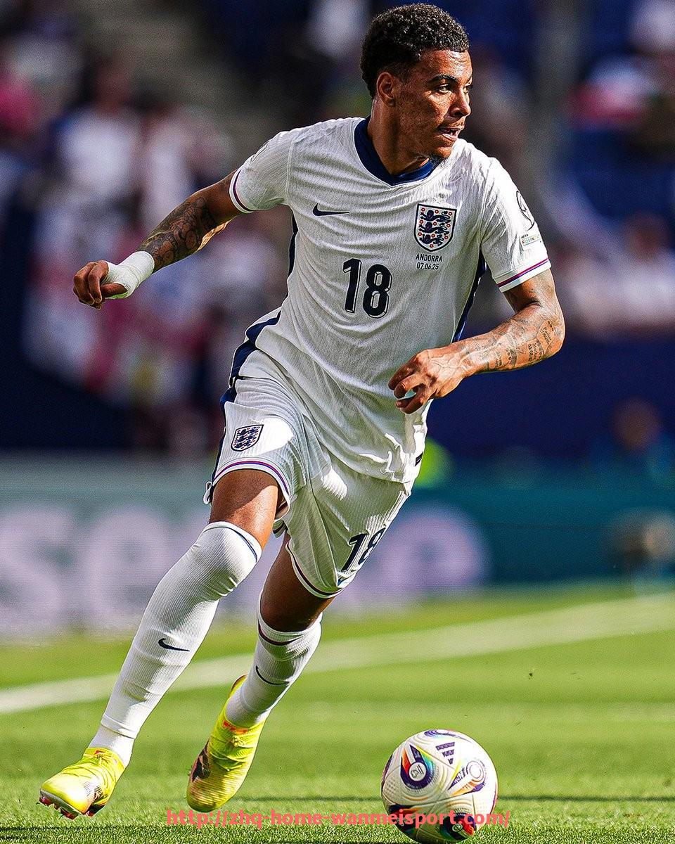 完美体育官方网站-法甲与德甲球队动作风格对比及比赛观赏性分析