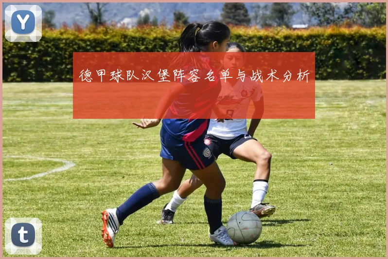 德甲球队汉堡阵容名单与战术分析