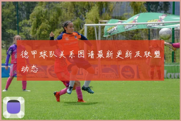 德甲球队关系图谱最新更新及联盟动态