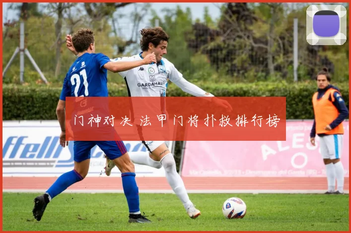 门神对决 法甲门将扑救排行榜