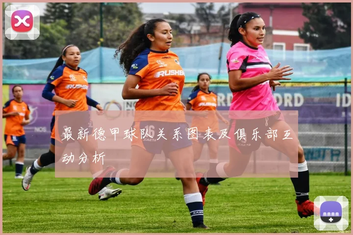 最新德甲球队关系图表及俱乐部互动分析