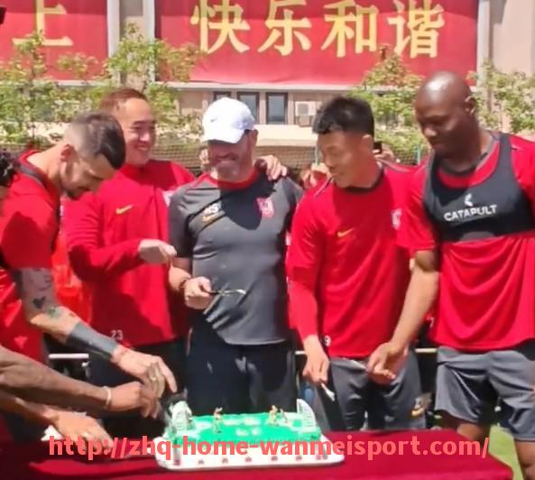 完美体育官方网站-德意甲球队分布全览：跨国联赛参与俱乐部详解